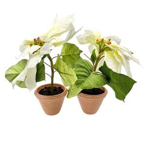 Pair of Faux White Poinsettia Plants In 3.5 inch Terracotta Pots 11 inches tall